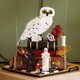 LEGO® Harry Potter™ 76466 - A bölcsek köve – Gyűjtői kiadás