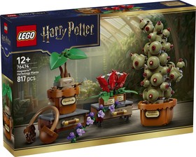 LEGO® Harry Potter™ 76474 - A Roxfort™-i gyógynövénytanóra növényei