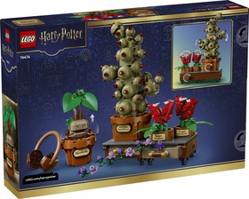 LEGO® Harry Potter™ 76474 - A Roxfort™-i gyógynövénytanóra növényei