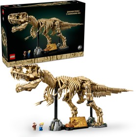 Dinoszaurusz maradványok: Tyrannosaurus rex