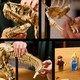 LEGO® Jurassic World 76968 - Dinoszaurusz maradványok: Tyrannosaurus rex