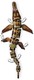 LEGO® Jurassic World 76974 - Vízi küldetés és kockákból épült Mosasaurus