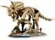 LEGO® Jurassic World 77985 - Dinoszaurusz maradványok: Triceratops