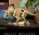 LEGO® Jurassic World 77985 - Dinoszaurusz maradványok: Triceratops