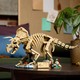 LEGO® Jurassic World 77985 - Dinoszaurusz maradványok: Triceratops