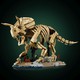 LEGO® Jurassic World 77985 - Dinoszaurusz maradványok: Triceratops