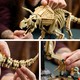LEGO® Jurassic World 77985 - Dinoszaurusz maradványok: Triceratops