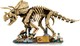 LEGO® Jurassic World 77985 - Dinoszaurusz maradványok: Triceratops