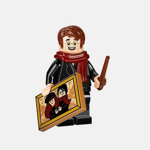 LEGO® Harry Potter™ colhp2-8 - James Potter