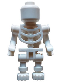 Skeleton with Plain Head