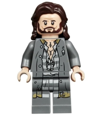 LEGO® Minifigurák hp174 - Sirius Black