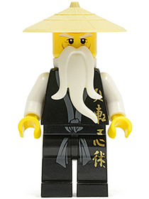 Sensei Wu 