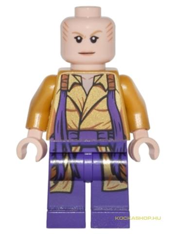 LEGO® Minifigurák sh0298 - Az ősmágus