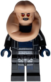 Bib Fortuna