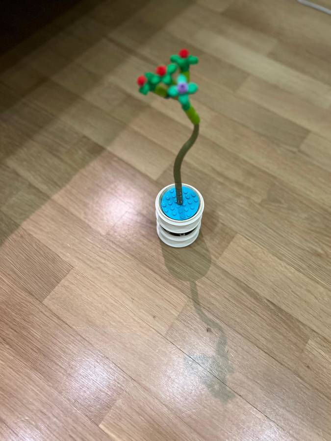 VARÁZSVIRÁG