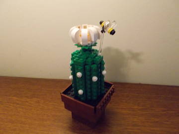 Kishúgom kérte (1): Kaktusz