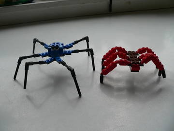 Designer Set 4101: 2 pókféle