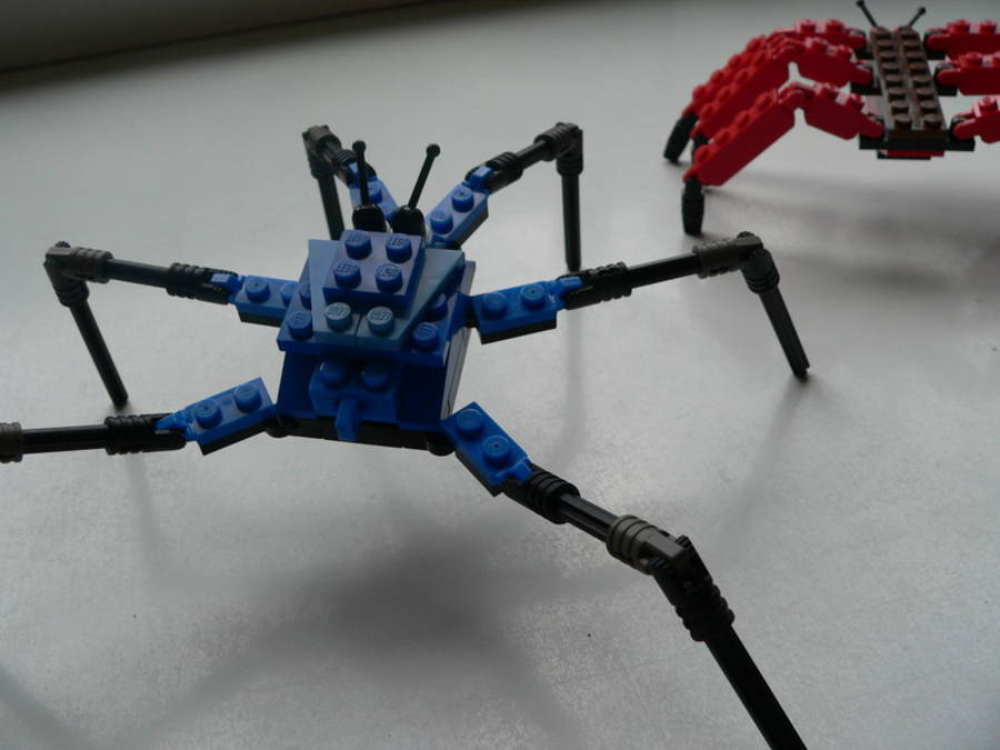 Designer Set 4101: 2 pókféle