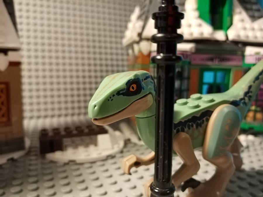 Raptor Roxmortsban?!