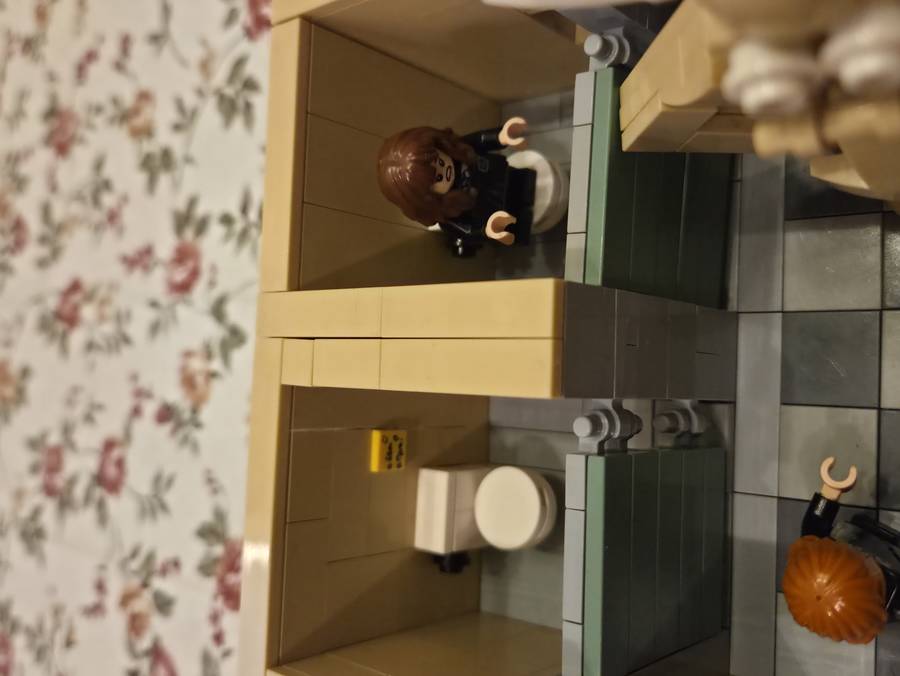 Troll a wc-ben