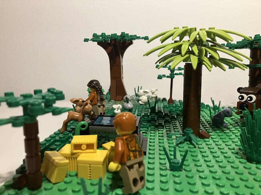 A vadaspark