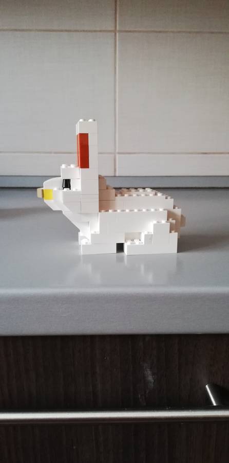 Nyuszi a répásban