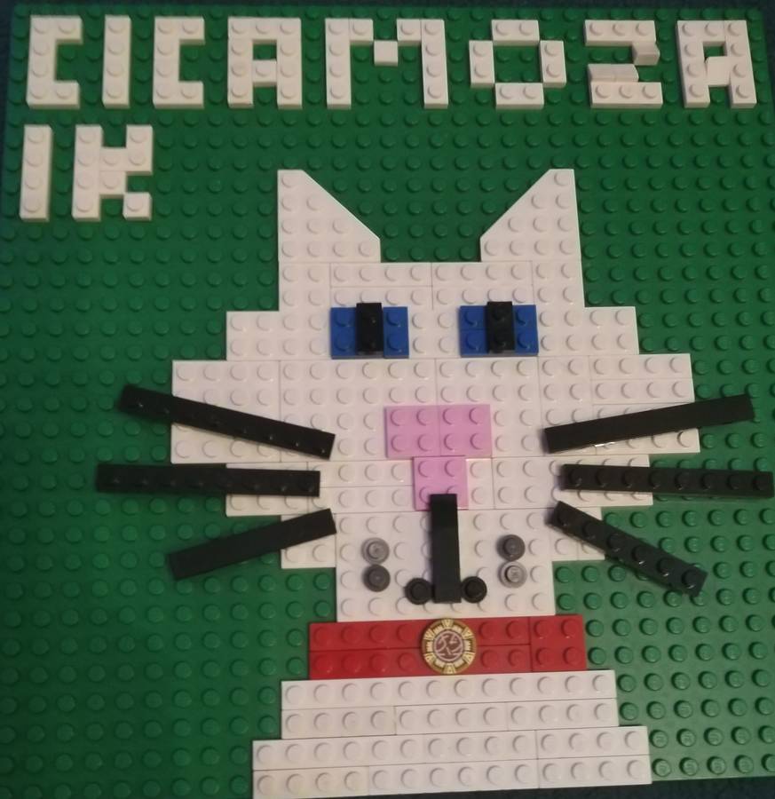 Cica mozaik