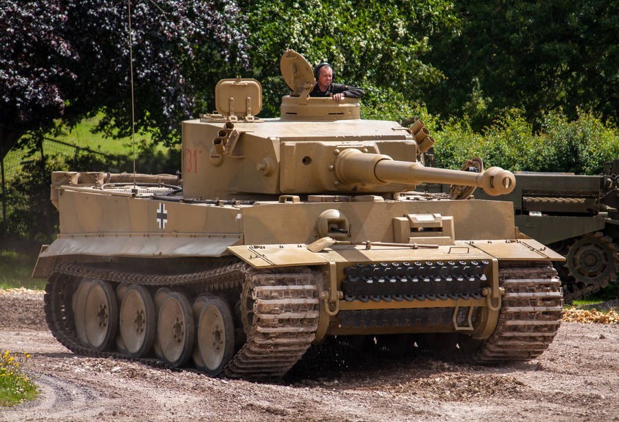 TIGER 1