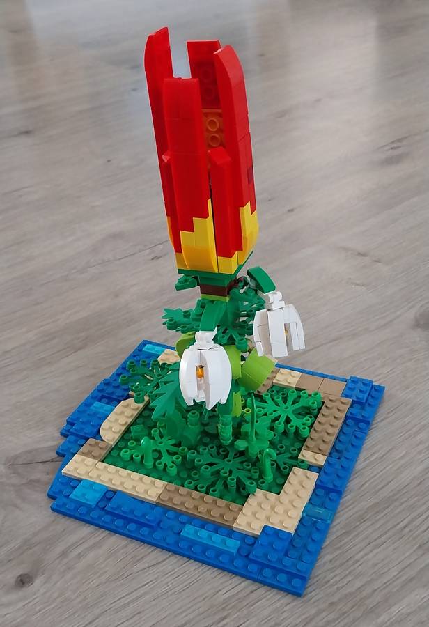 Sárkányvirág