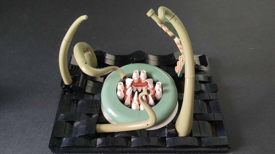 A Kraken