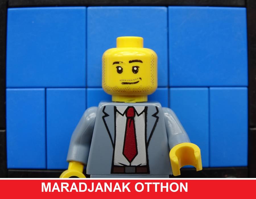 Maradjanak otthon