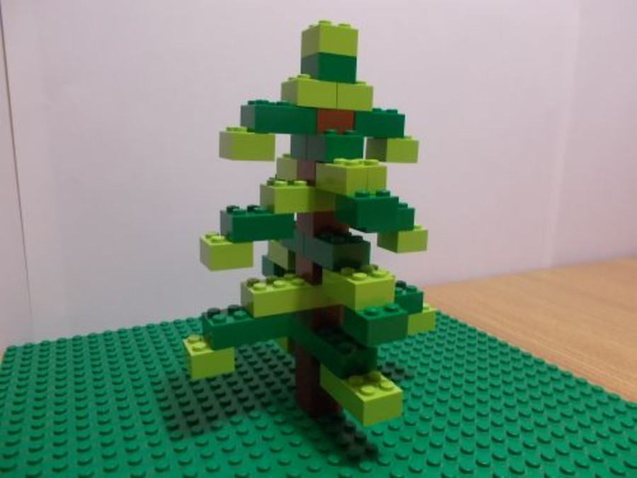 Kisfenyőfa, nagyfenyőfa