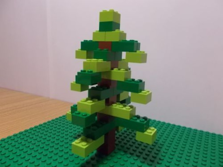 Kisfenyőfa, nagyfenyőfa