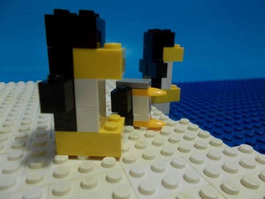 Pingvinfióka megmentése