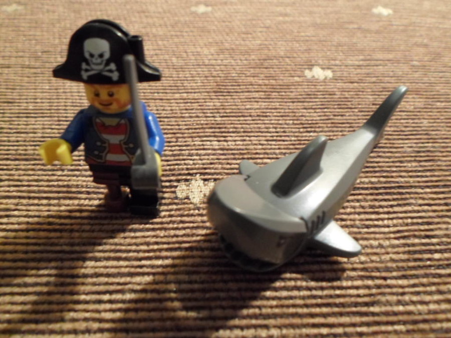10679 Pirate Treasure Hunt