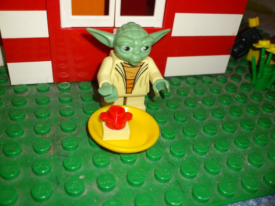 Yoda mester pihen :)