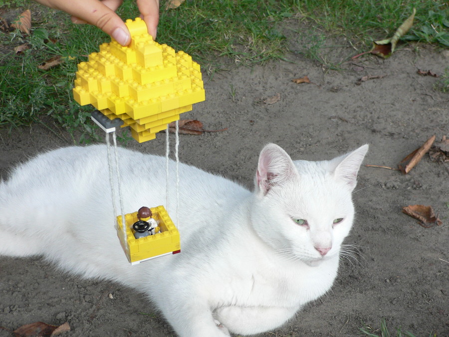 Száll a hőlégballon a város felett