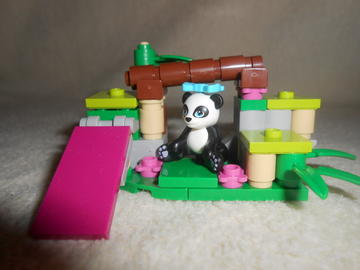 Panda bambusza.
