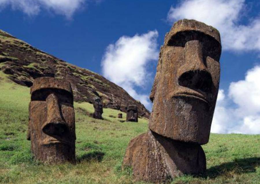 Moai kő fej 