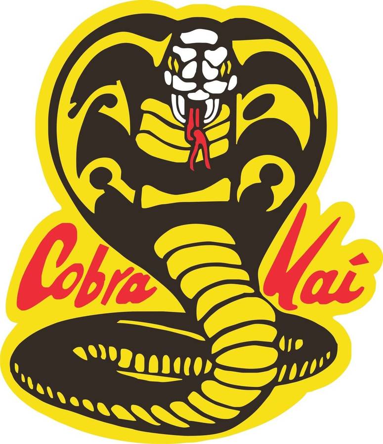 Cobra Kai dojo