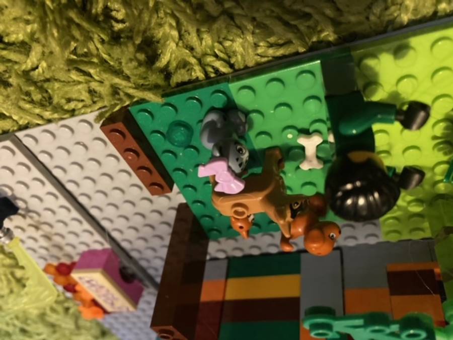 Iskolakezdés legoval