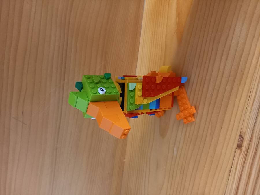 Rinya, a Szélkirálynő hajópapagálya