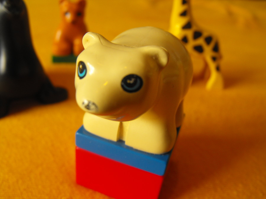 Duplo: a kakukktojás